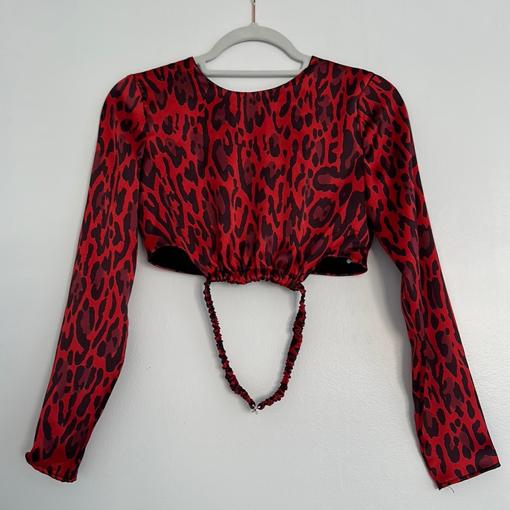 Zara long sleeve crop top